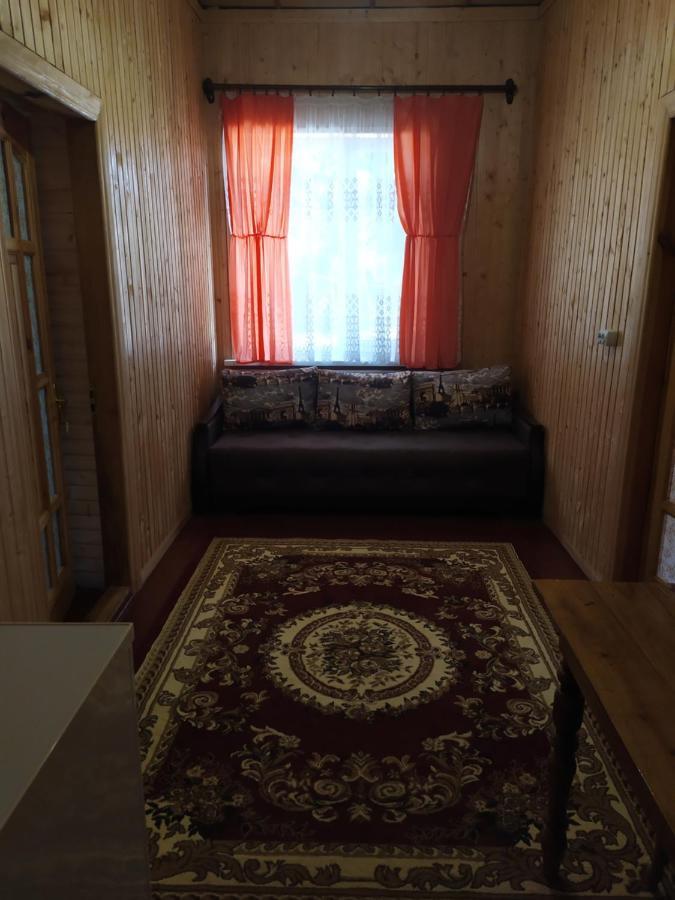 Білий Птах Hotel Svityaz' Luaran gambar